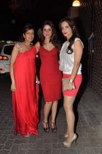 at Anu and Sunny Dewan_s bash in Mumbai on 24th Dec 2012,1 (183).JPG